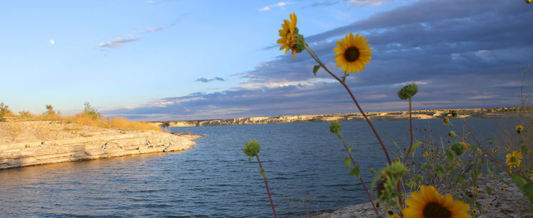 Escape to Serenity: Your Guide to Lake Pueblo State Park