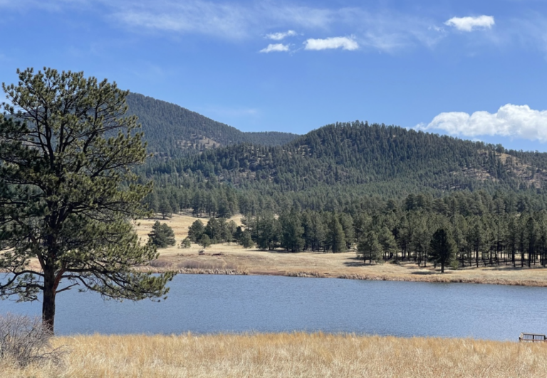 Manitou Lake Bird Walk Led By Joe Lafleur – February 10 – Aiken Audubon 